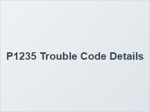 P1235 Error Explanation and Details