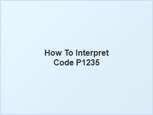 How to Interpret Code P1235